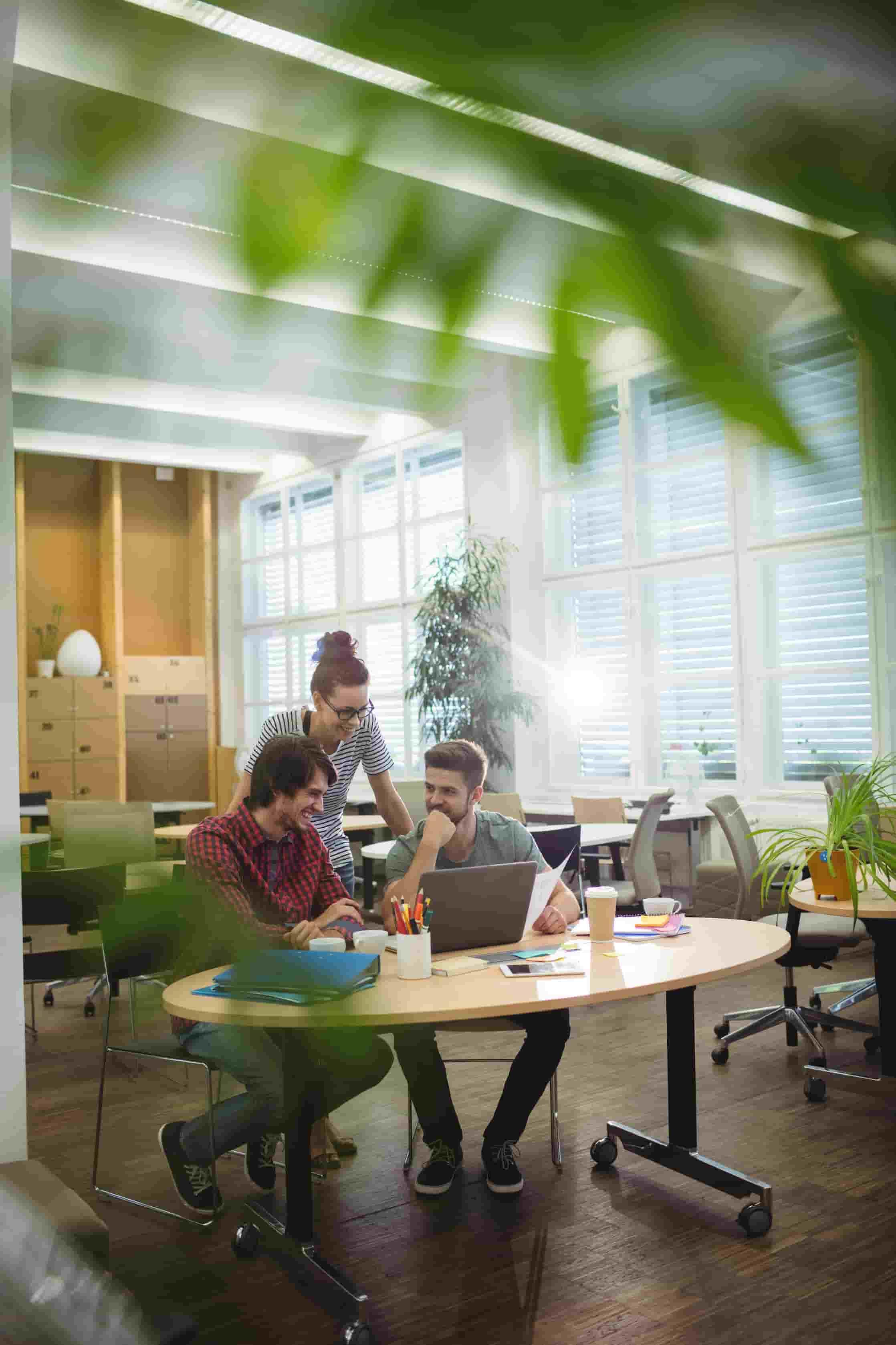 Business executives in clean office